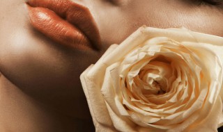 香槟玫瑰花语文案 玫瑰花花语文案