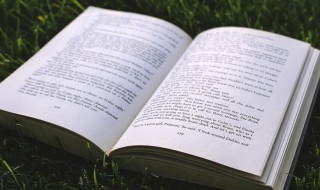 适合奋斗的微信名字（取个奋斗微信名）