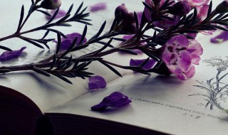 充满女人味的网名 充满女人味的网名四个字