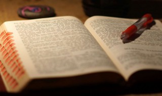 女人味带诗意的微信名（女生有诗意的微信名字）