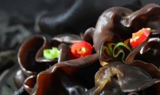 隔夜菜木耳可以吃吗?(隔夜的木耳菜可以吃吗)