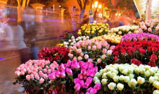 家里不能种的十种花（家里不能种的十种花有哪些）