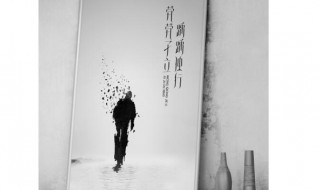 茕茕孑立形影相吊是什么意思 茕茕孑立 形影相吊什么意思