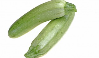 角瓜怎么种 角瓜怎么种植最好