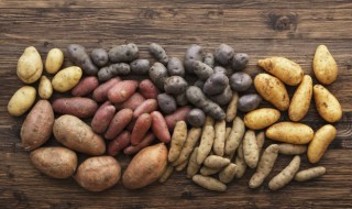 土豆发芽了怎么种植 土豆发芽了怎么种植盆栽