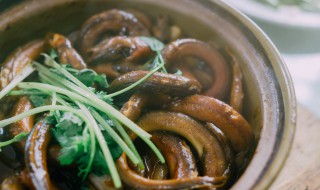 养生鳝鱼煲饭怎么做（养生鳝鱼煲饭怎么做才好吃）