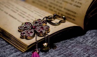 靡不有初鲜克有终的意思 靡不有初鲜克有终的意思不忘初心方得始终