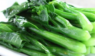 芥兰菜怎么种 芥兰菜怎么种在几月份种