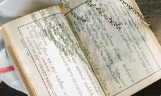 日高日上是什么意思 则又日高日上的日是什么意思