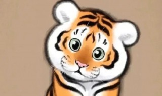 2022年十月虎女宝宝取名 2022年虎宝宝女孩小名