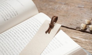 鸡犬相闻而老死不相往来的意思（鸡犬相闻而老死不相往来的意思是什么）