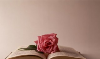 花攒锦聚的意思（花攒锦聚什么意思）