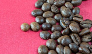 草珠子怎么种 草珠子怎么种植可出苗