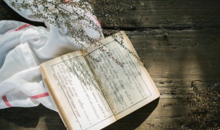 先下手为强的意思（先下手为强的意思是）