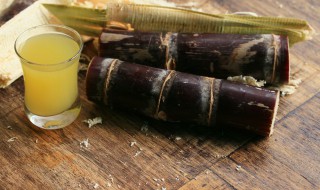 蔗怎么读 蔗怎么读音