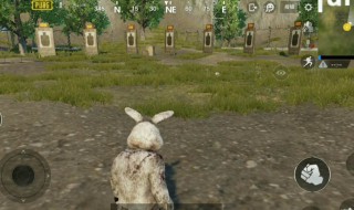 刺激战场兔子皮肤去哪找 刺激战场小兔子衣服怎么获得