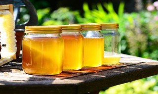 梦见尝蜂蜜是什么意思 梦见尝蜂蜜是什么意思周公解梦