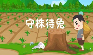 守株待兔是什么故事（拔苗助长守株待兔是什么故事）