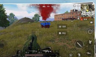 吃鸡枪标准设置 吃鸡枪标准排行