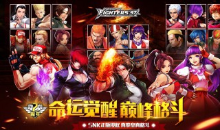 拳皇觉醒平民最强阵容（拳皇觉醒最佳阵容）