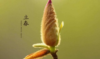 打春是什么意思打的是 打春是什么意思