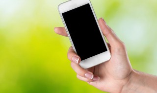 怎样查苹果手机的参数 怎么看苹果手机参数