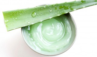 芦荟胶的功效和作用是什么（芦荟的胶作用和功效有哪些）