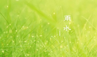 雨水节气适宜的水果（雨水节气有什么水果）