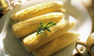 十种公认最刮油的食物（十种公认最刮油的食物有哪些）