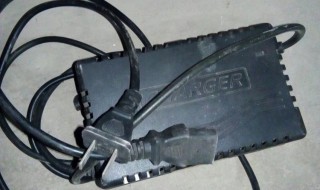 彪牌603Z电动车用多大充电器（彪牌电动车充电器必须是原装的吗）