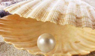 珍珠粉可以加入洗面奶使用吗（洗面奶里可以加珍珠粉吗）