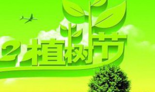 植树的宣传语 植树的宣传语八个字