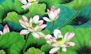 荷花在古代的寓意是什么（荷花在古代代表什么意思）