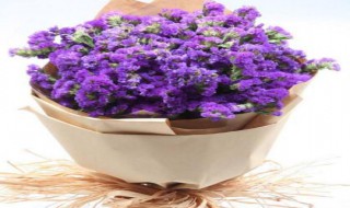 勿忘我这三个字适合送给什么人 勿忘我送人代表什么