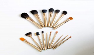 化妆刷可以两人共用吗（化妆刷可以两人共用吗怎么用）