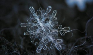 如何拍落雪花（如何拍到下落的雪花）