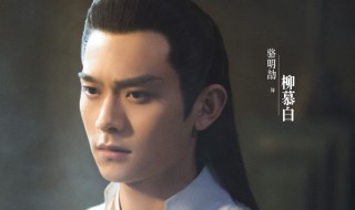 大主宰柳慕白最后是黑化成反派了吗 大主宰柳慕白黑化后变好了吗