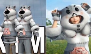 和平精英仓鼠套装是军需吗（和平精英的仓鼠灰灰套装）