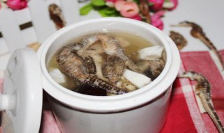 海马煲汤小孩能吃吗(小孩子可以吃海马煲汤吗)