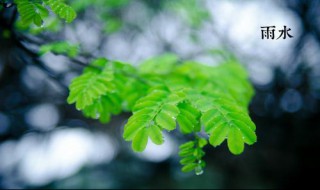 24节日雨水是什么意思 我来告诉你