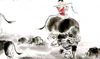 村晚作者是什么朝代（村晚的作者是什么）