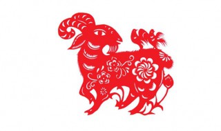 03年是鼠年还是什么年（2003年是鼠年还是牛年）