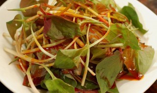 吃鱼腥草的禁忌是什么（吃鱼腥草的禁忌是什么意思）