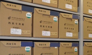 如何查询自己档案在哪(怎么查自己的档案)