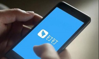 钉钉直播可以镜面吗? 钉钉直播怎么镜面