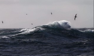 西风带为什么冬季势力比夏季强（为什么西风带冬季势力最强）