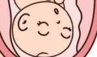 前壁和后壁有什么区别? 怀在前壁和后壁有什么区别