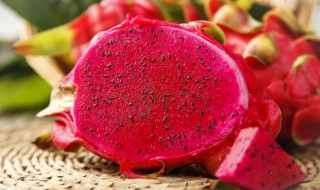 火龙果适合什么地方种植 火龙果适合哪些地方种植