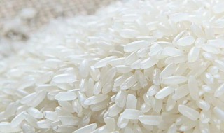 洗了的生米如何保存不生虫子 洗了的生米如何保存