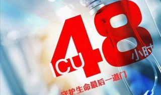 icu48小时小说大结局 icu48小时原著